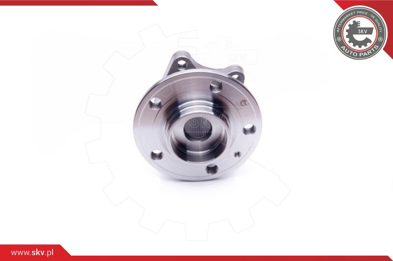 ESEN SKV Radlagersatz