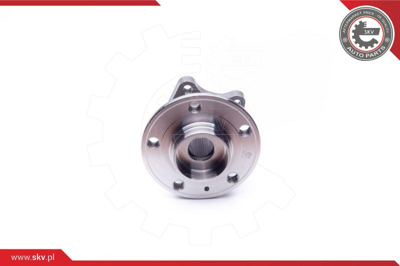 ESEN SKV Radlagersatz