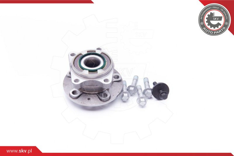 ESEN SKV Radlagersatz