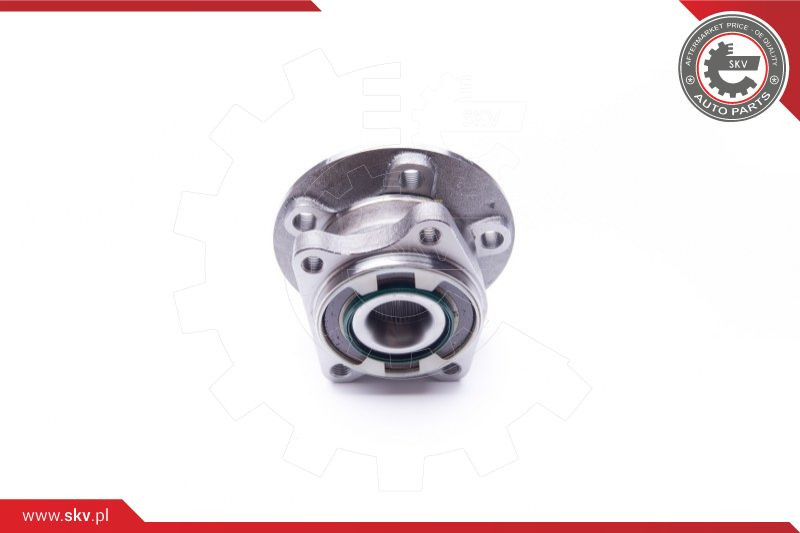 ESEN SKV Radlagersatz