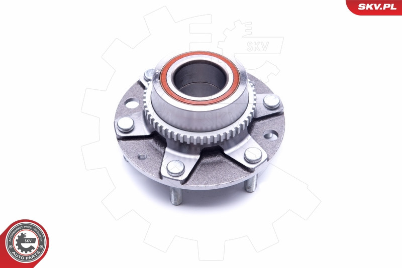 ESEN SKV Radlagersatz