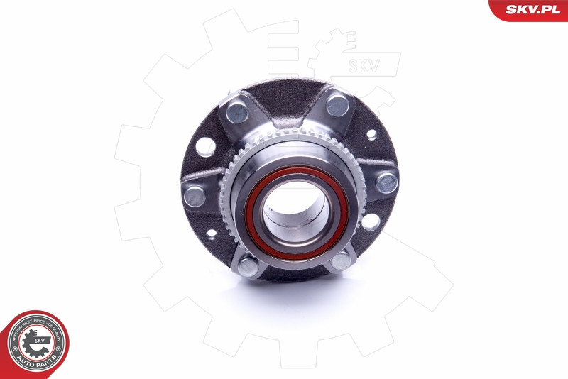 ESEN SKV Radlagersatz