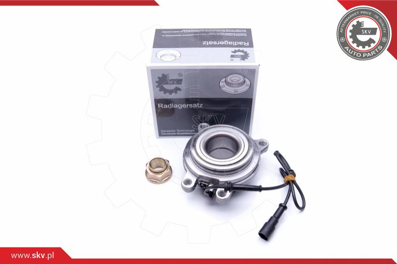 ESEN SKV Radlagersatz