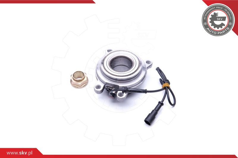 ESEN SKV Radlagersatz