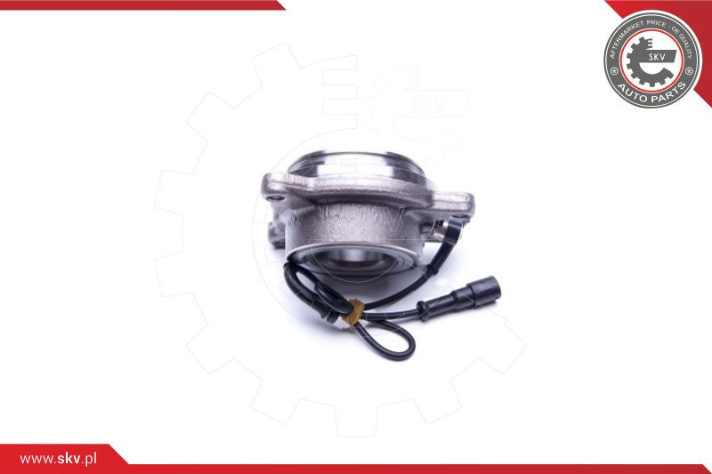 ESEN SKV Radlagersatz