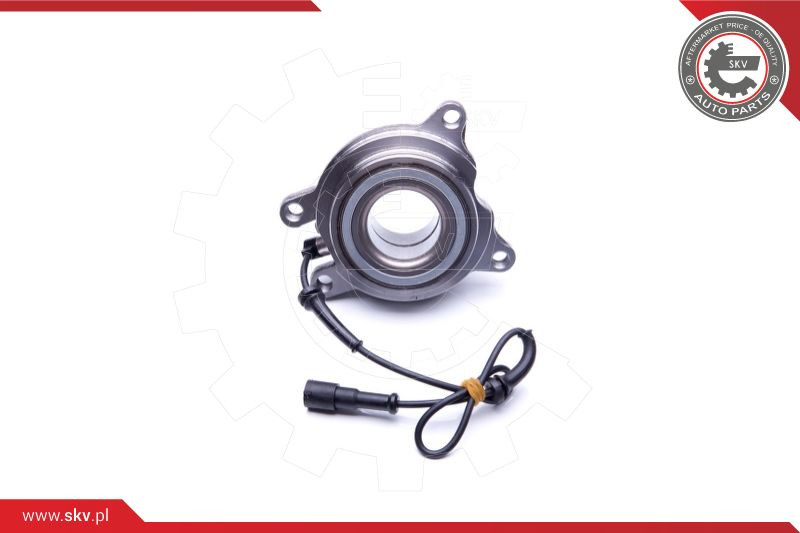 ESEN SKV Radlagersatz