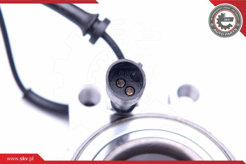 ESEN SKV Radlagersatz