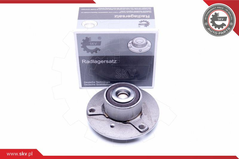 ESEN SKV Radlagersatz