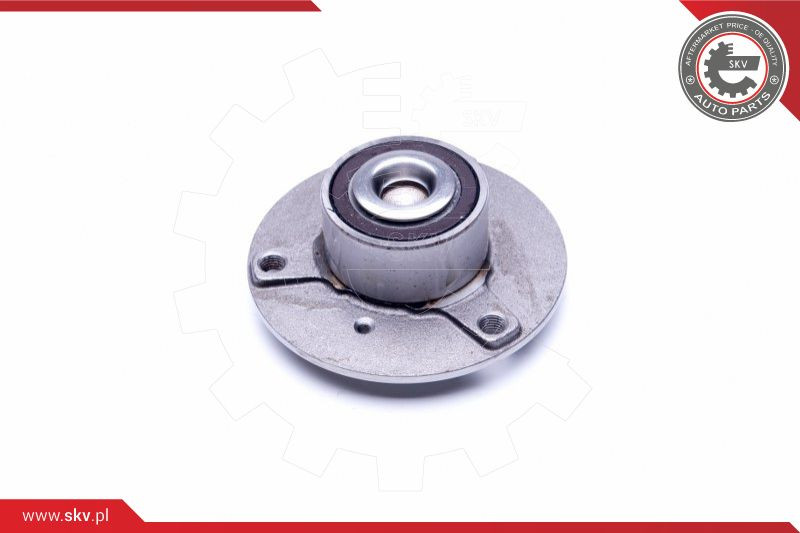 ESEN SKV Radlagersatz