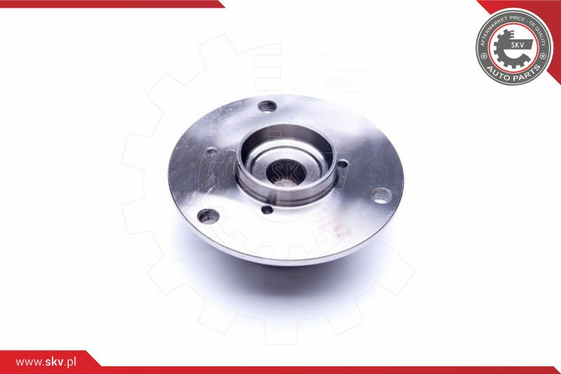 ESEN SKV Radlagersatz