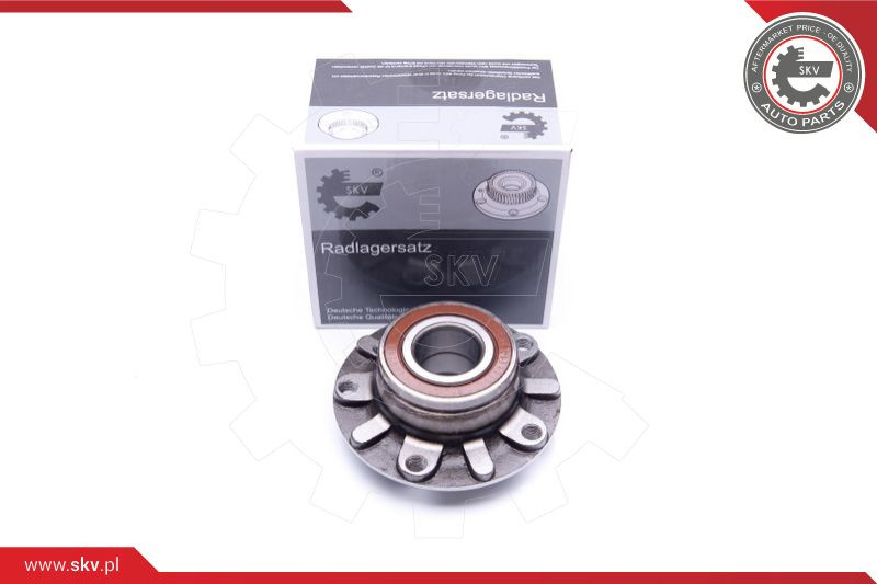 ESEN SKV Radlagersatz