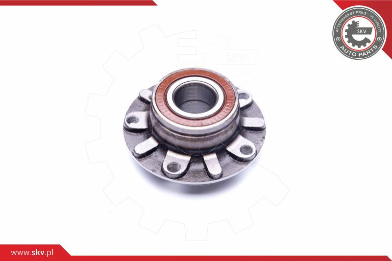 ESEN SKV Radlagersatz