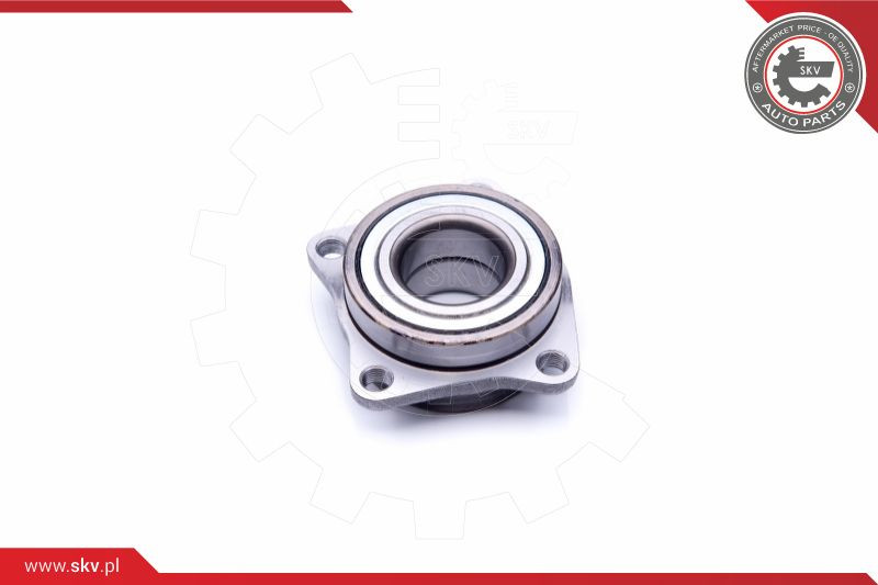 ESEN SKV Radlagersatz