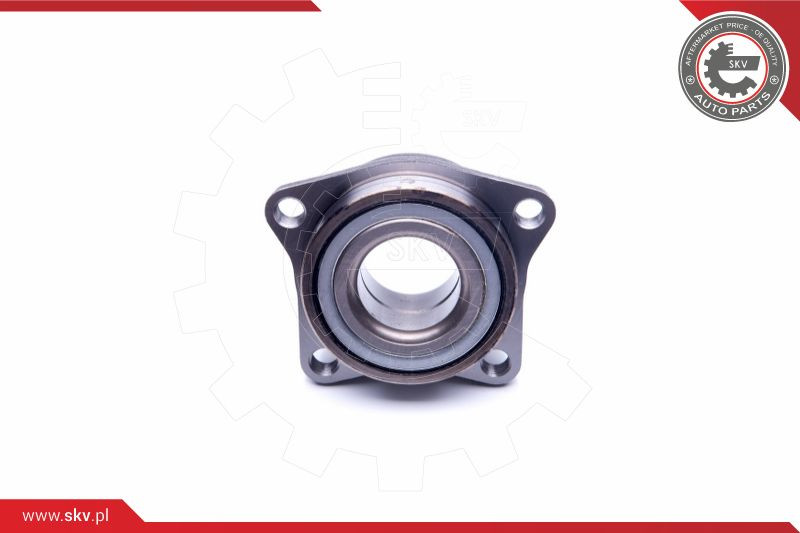 ESEN SKV Radlagersatz