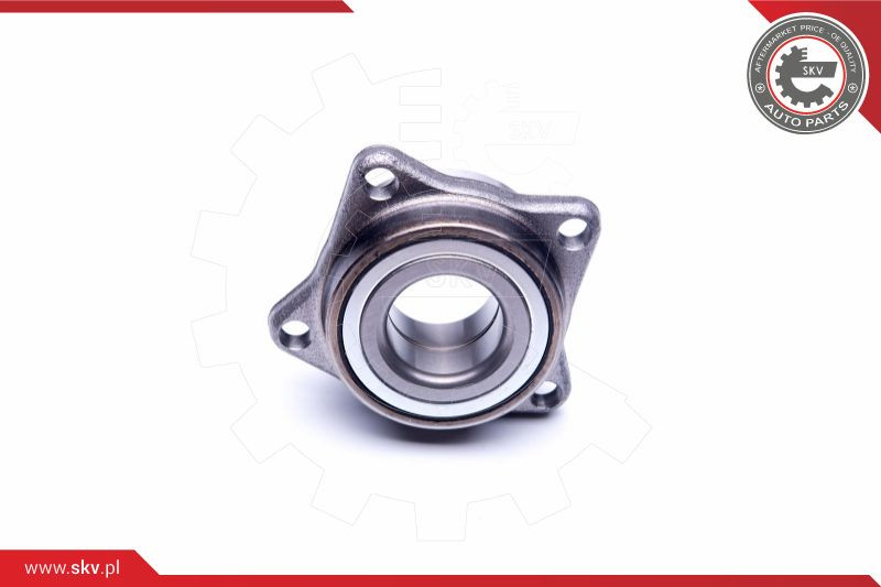 ESEN SKV Radlagersatz