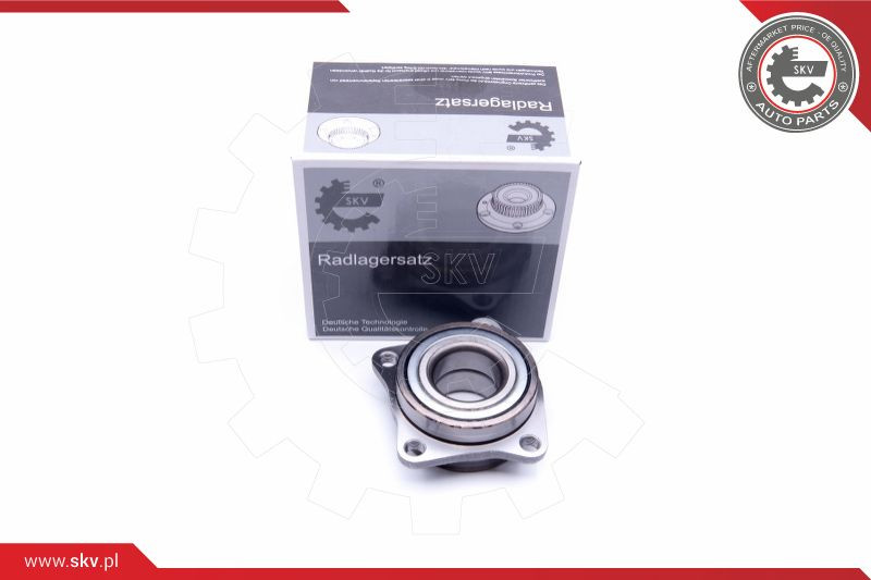 ESEN SKV Radlagersatz
