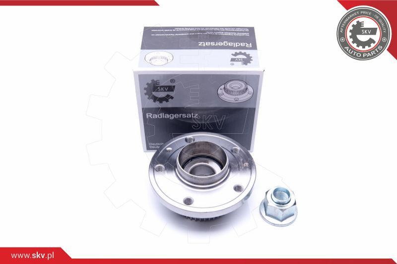 ESEN SKV Radlagersatz