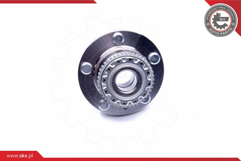 ESEN SKV Radlagersatz