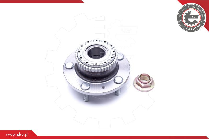 ESEN SKV Radlagersatz