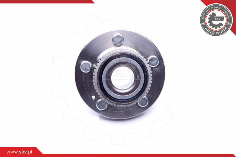 ESEN SKV Radlagersatz