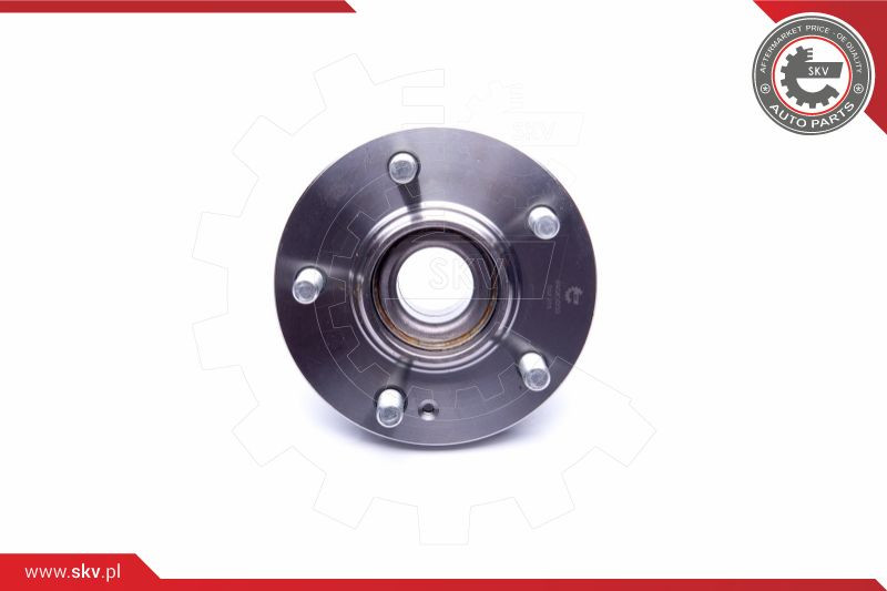 ESEN SKV Radlagersatz