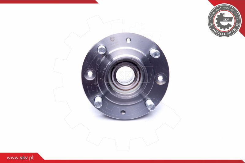 ESEN SKV Radlagersatz