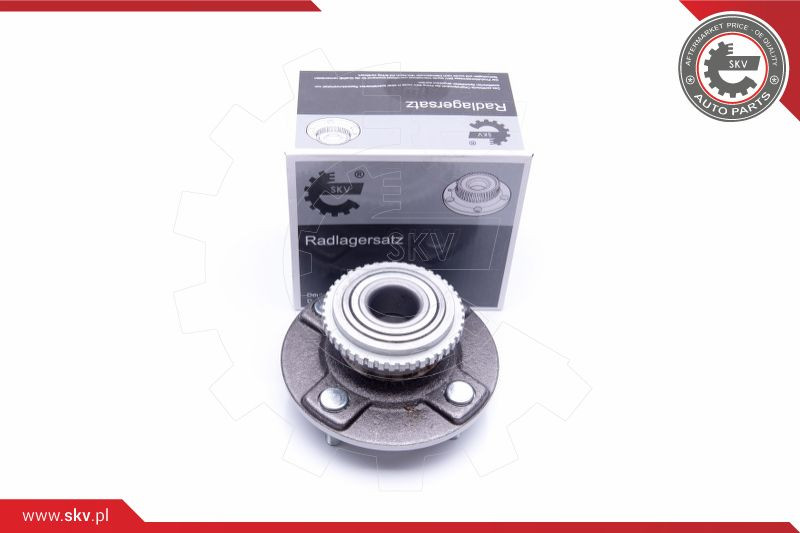 ESEN SKV Radlagersatz
