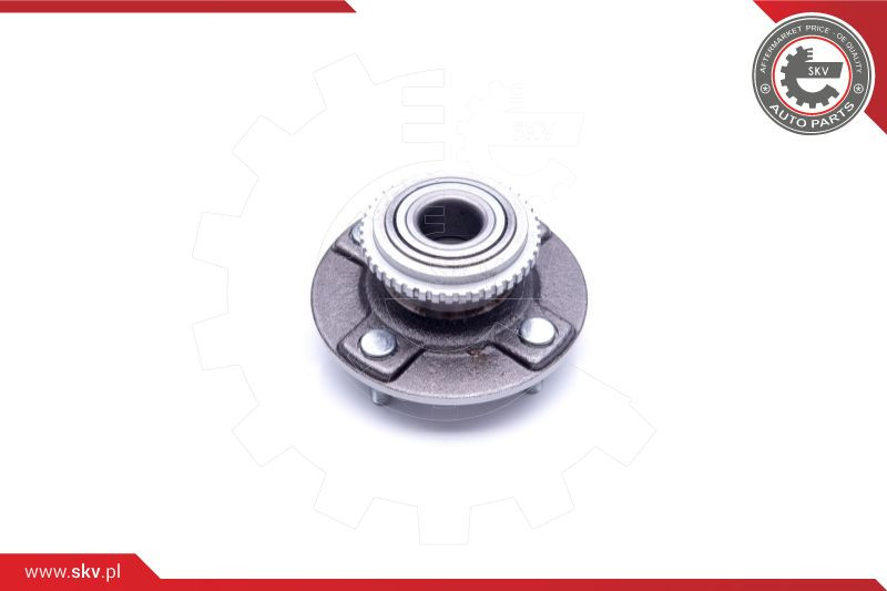 ESEN SKV Radlagersatz