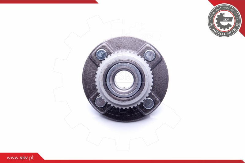 ESEN SKV Radlagersatz