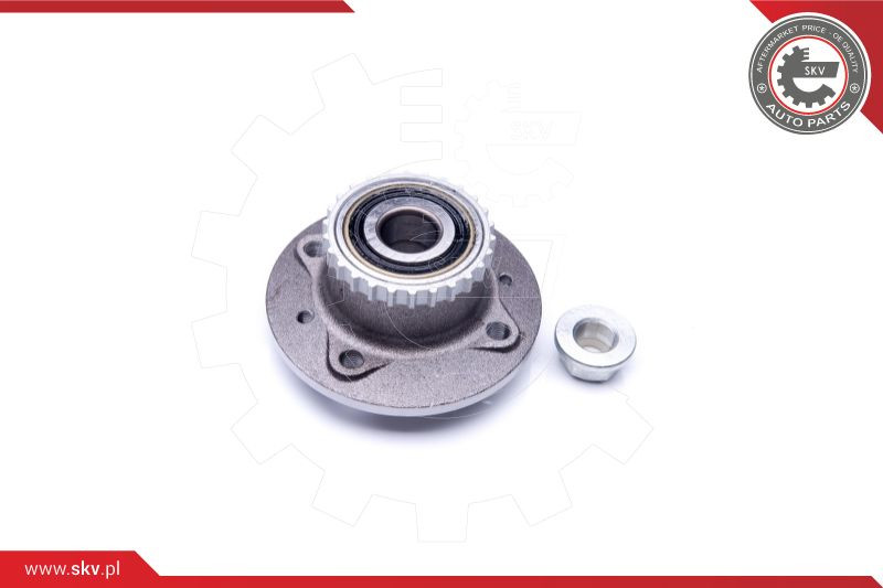 ESEN SKV Radlagersatz