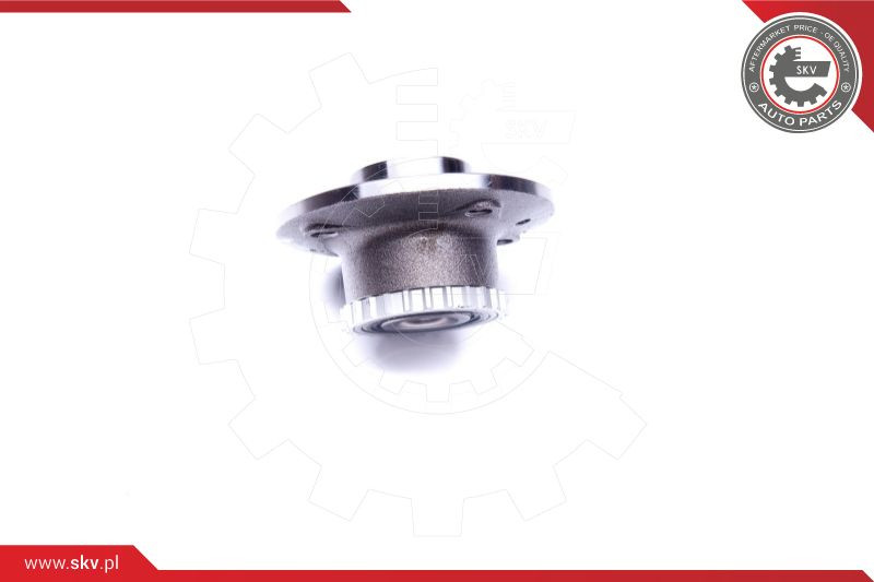 ESEN SKV Radlagersatz