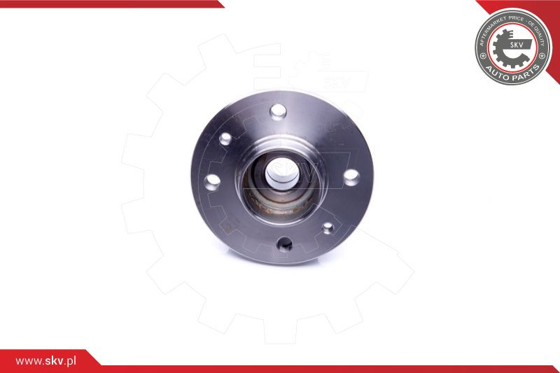 ESEN SKV Radlagersatz