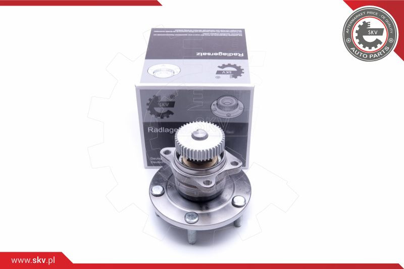 ESEN SKV Radlagersatz