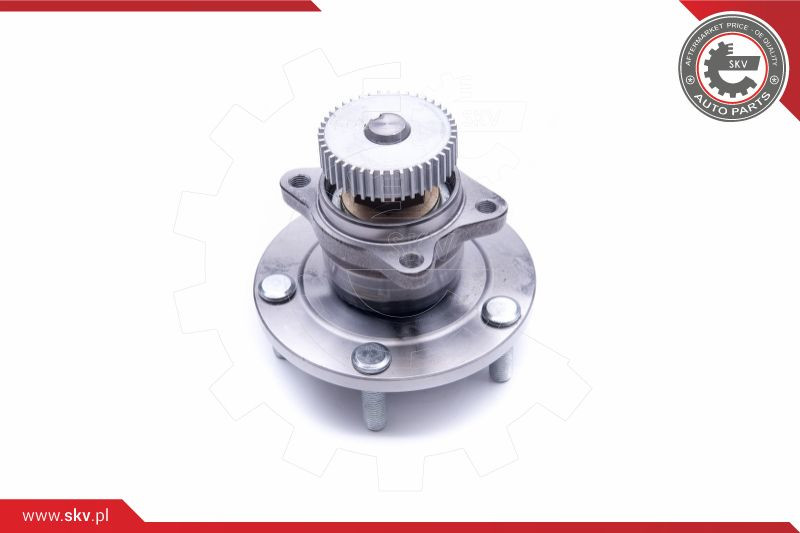ESEN SKV Radlagersatz