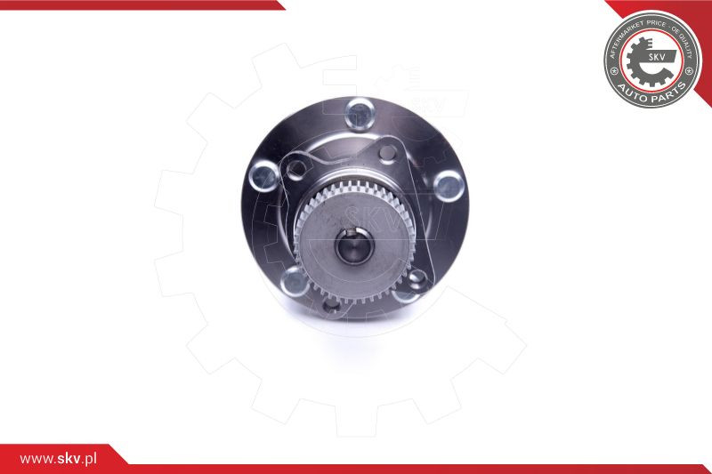 ESEN SKV Radlagersatz