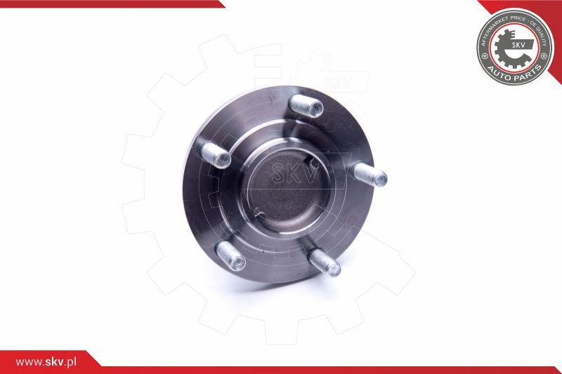 ESEN SKV Radlagersatz