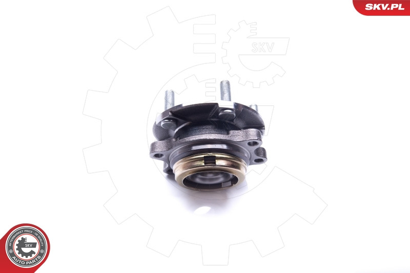 ESEN SKV Radlagersatz