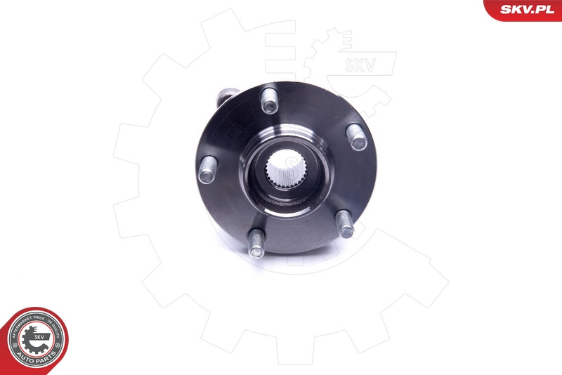 ESEN SKV Radlagersatz