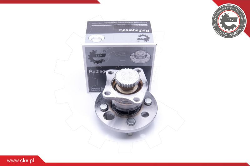 ESEN SKV Radlagersatz