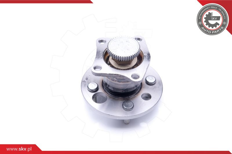 ESEN SKV Radlagersatz