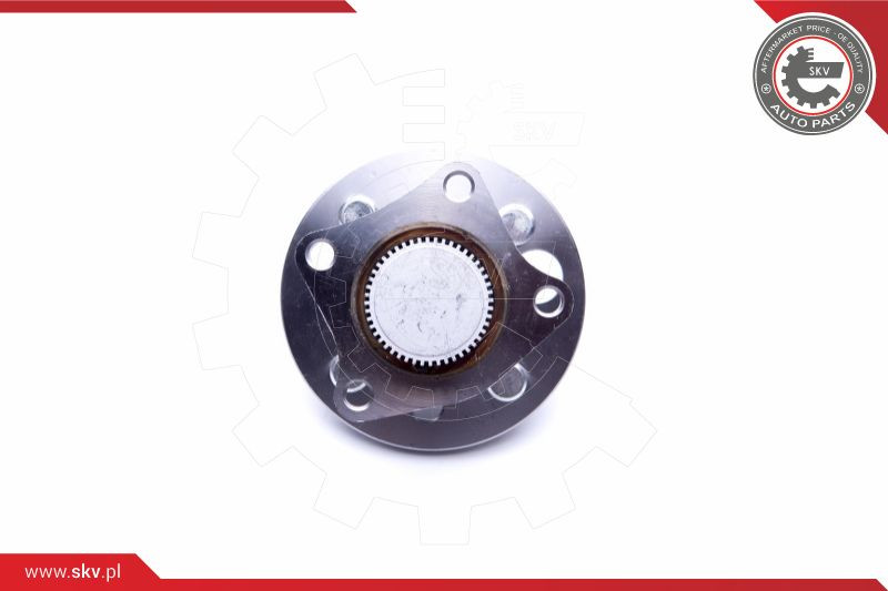 ESEN SKV Radlagersatz