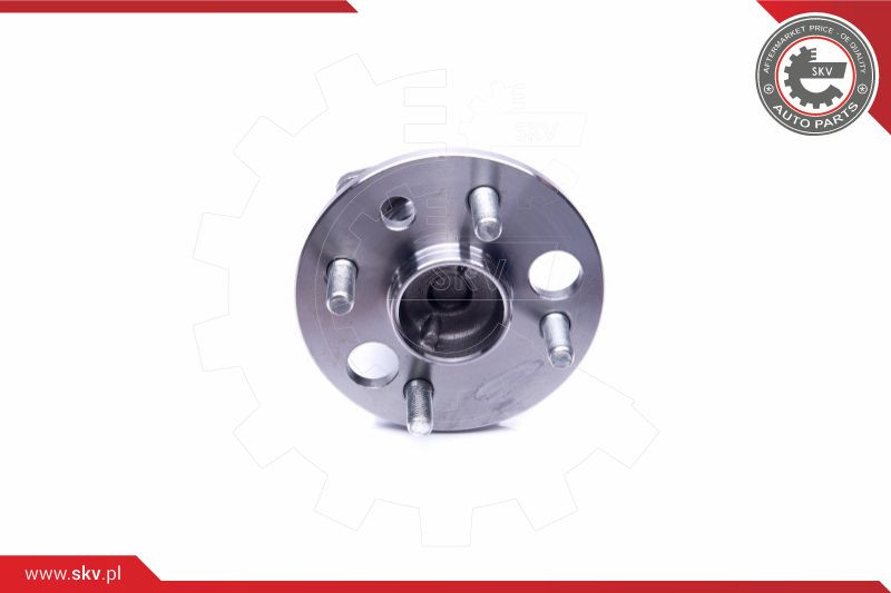 ESEN SKV Radlagersatz