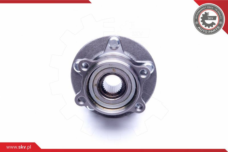 ESEN SKV Radlagersatz
