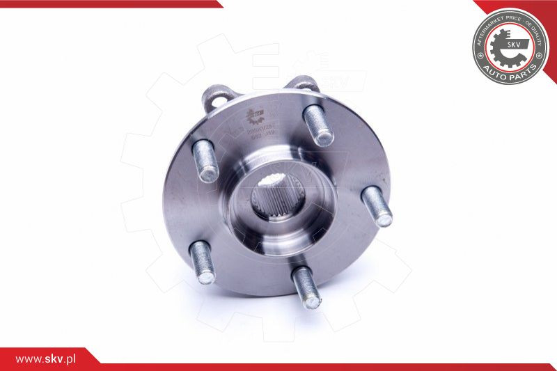 ESEN SKV Radlagersatz