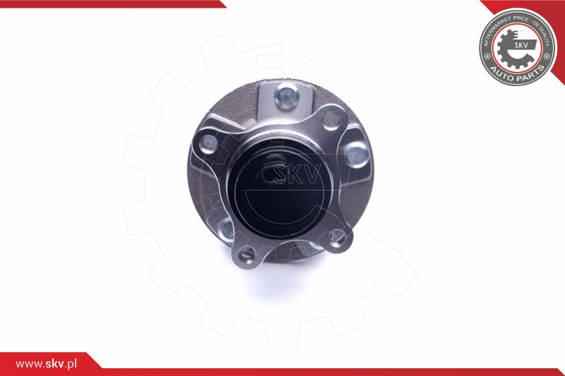 ESEN SKV Radlagersatz