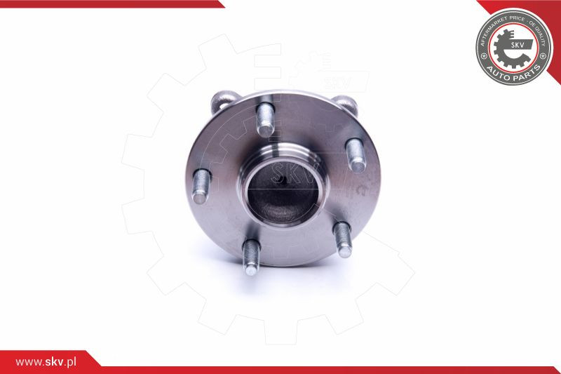 ESEN SKV Radlagersatz