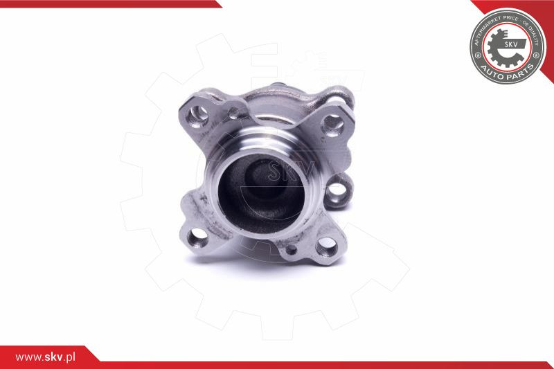 ESEN SKV Radlagersatz