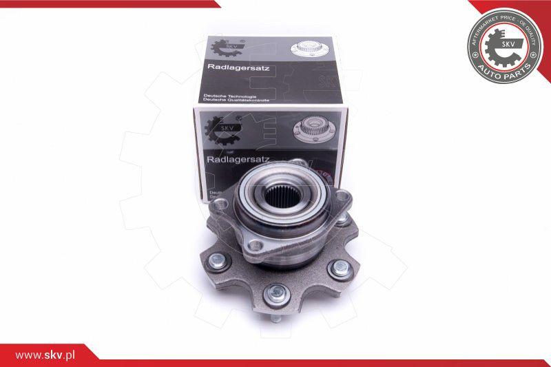 ESEN SKV Radlagersatz