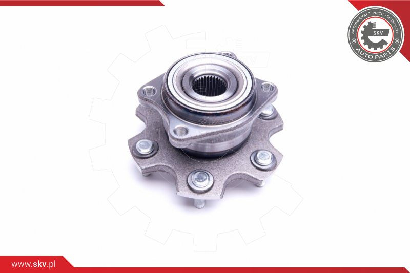 ESEN SKV Radlagersatz