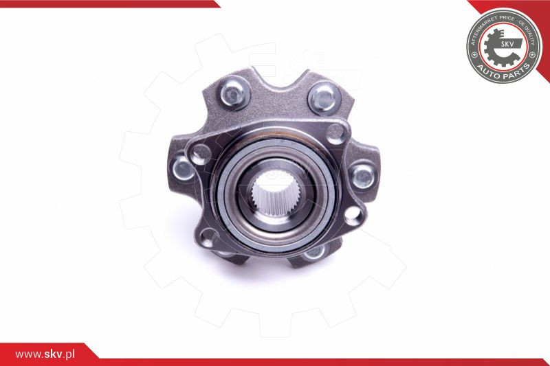 ESEN SKV Radlagersatz